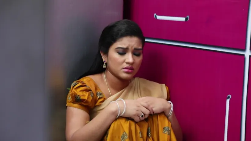 Sembaruthi - Episode 334 - November 29, 2018 - Full Episode