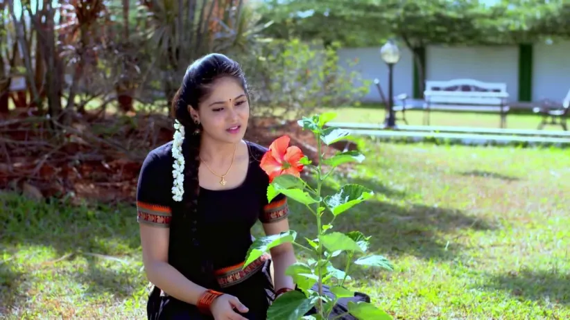 Hanumanth and Paarvathi to Return to the Village - Paaru