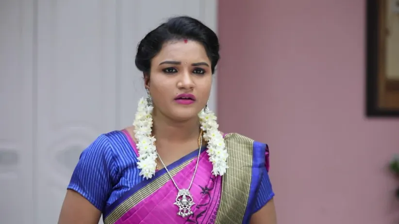 Sembaruthi - Episode 376 - January 17, 2019 - Full Episode