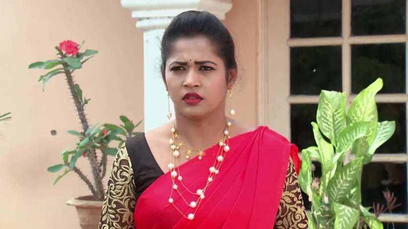 Gundamma Katha - Episode 235 - March 01, 2019 - Full Episode