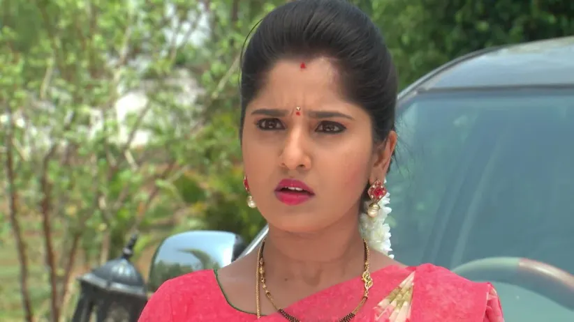 Kalyana Vaibhogam - May 31, 2019 - Webisode