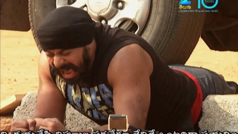 Big Celebrity Challenge - Episode 25 - February 13, 2016 - Full Episode