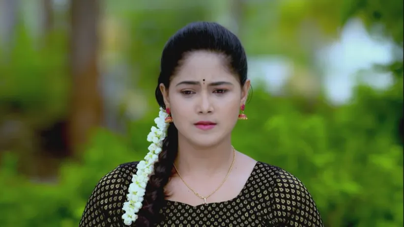 Damini Taunts Anushka - Paaru