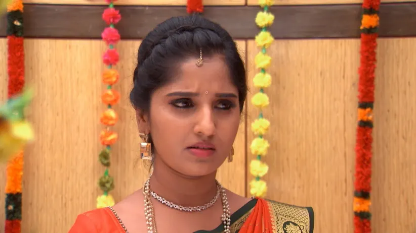 Manga and Nitya in identical outfits - Kalyana Vaibhogam