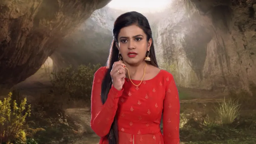 Vasuki Naga Warns Shivani