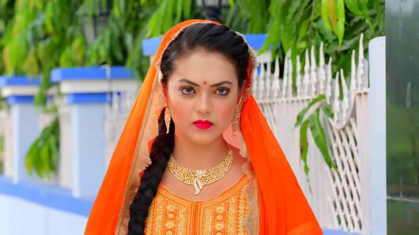 Zorawar Returns to His Mansion