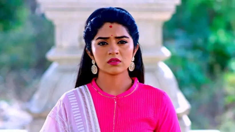 Rajanandini Marries Subhash