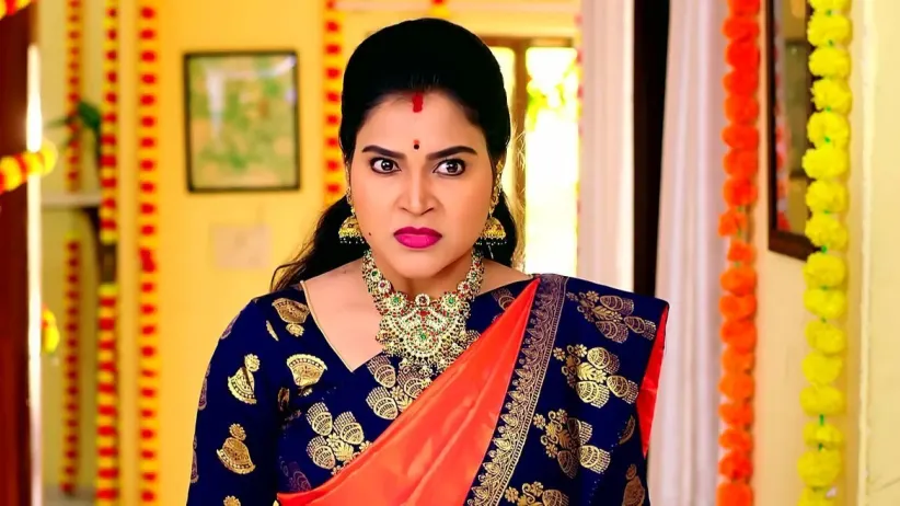 Seethalu Covers for Divya
