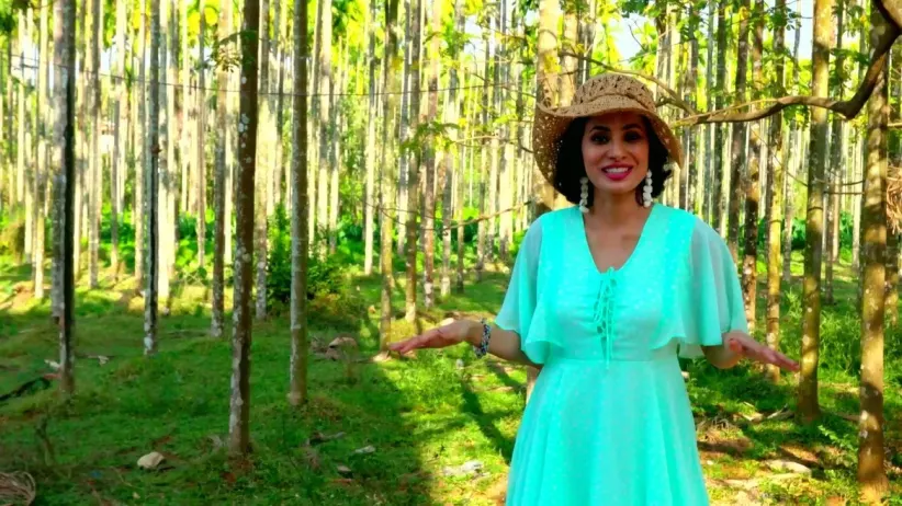 South Goa: Colva