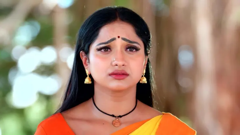 Thevanai Finds Maari