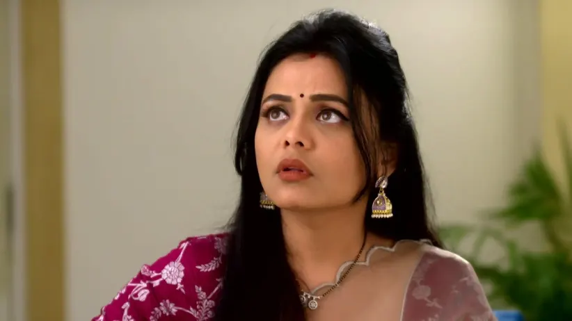Meenakshi's Realisation