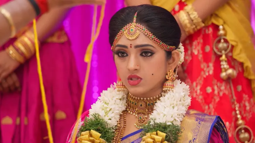 Siddharth Holds Bommi