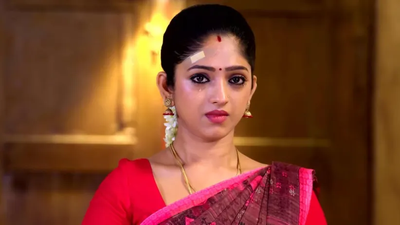 Padmanabhan Takes the Blame