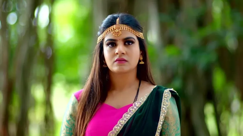 Shivani Decides to Test Sheshnaga