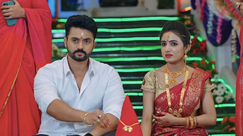 Saraswati Searches for Rishi
