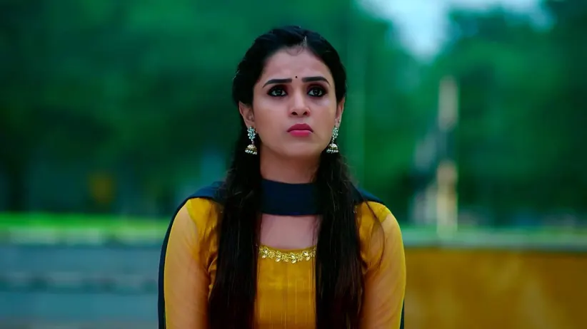 Amar Consoles Radhika
