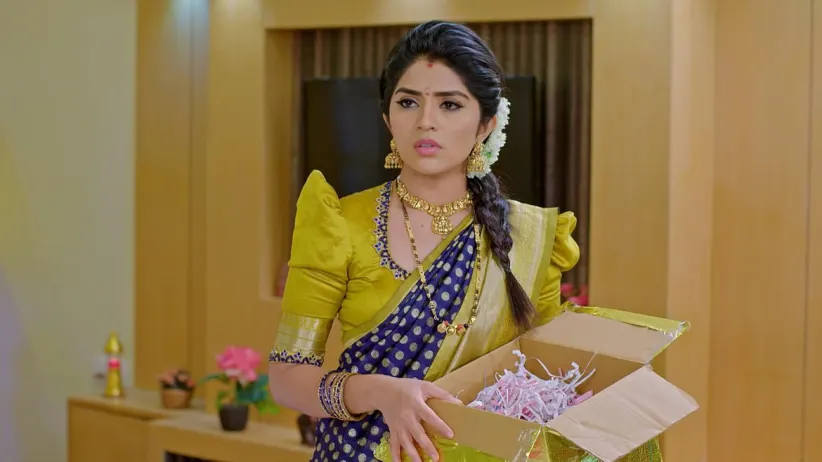 Aryavardhan's Accusation against Meera
