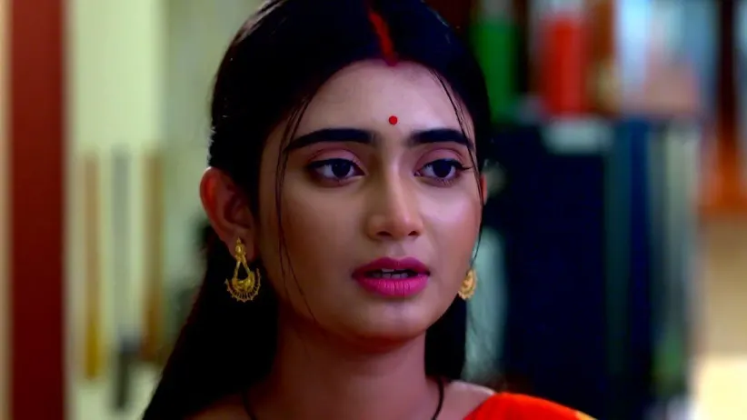 Vaidehi's Suspicion about Jagadhatri