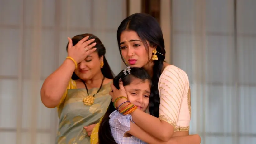 Radha Confronts Damini