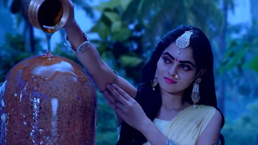 The Sorcerer Entrusts Bhavani with a Task