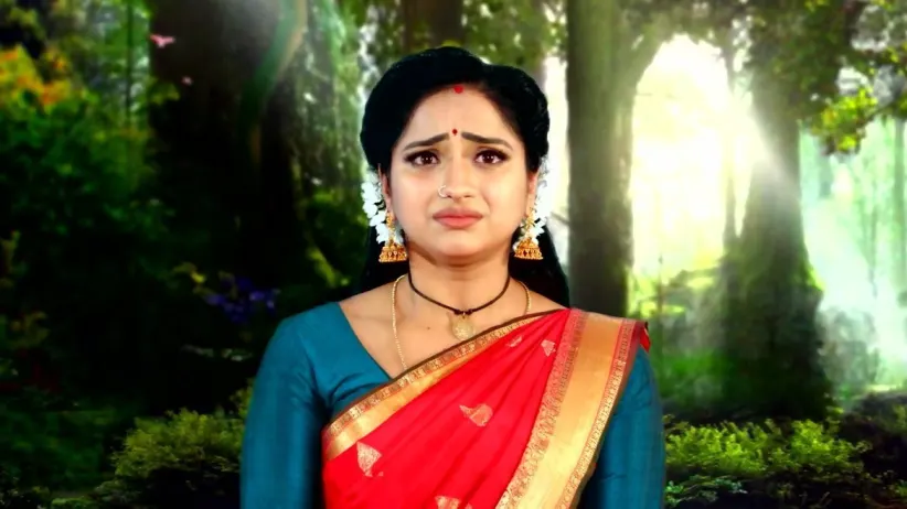 Nayani Misunderstands Shivani