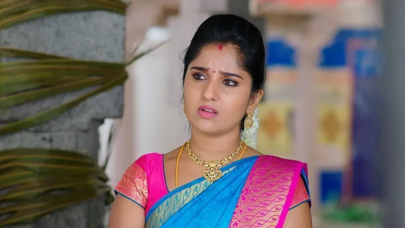 Divya’s Family Goes to Hatakeswaram