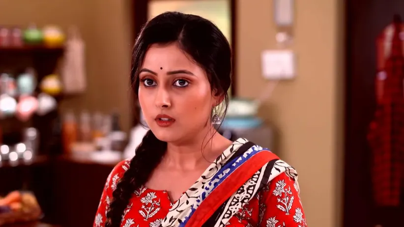 Neem Phooler Madhu - November 15, 2022 - Episode Spoiler