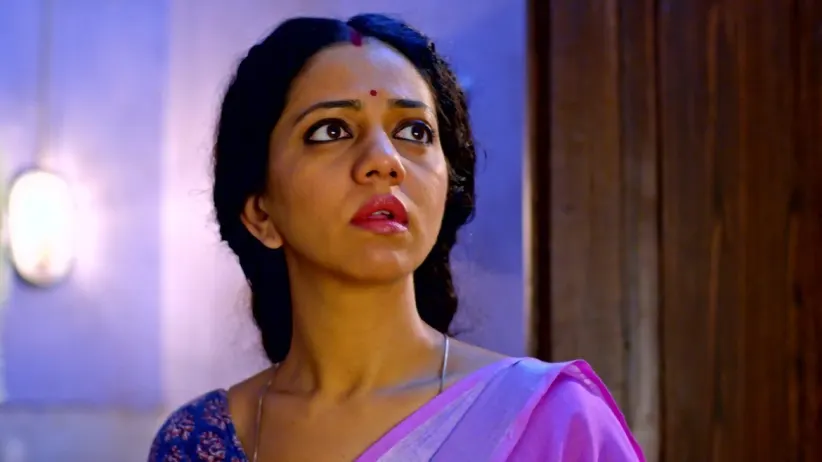 Babuji Calls Krishna a Thief