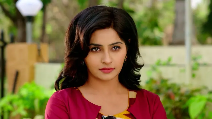 Birju Frames Srishti