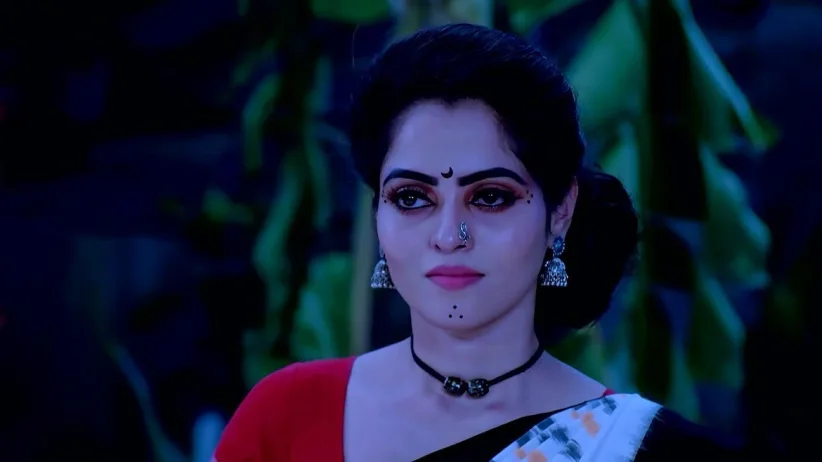Sunanda Tries to Stop Bhavani