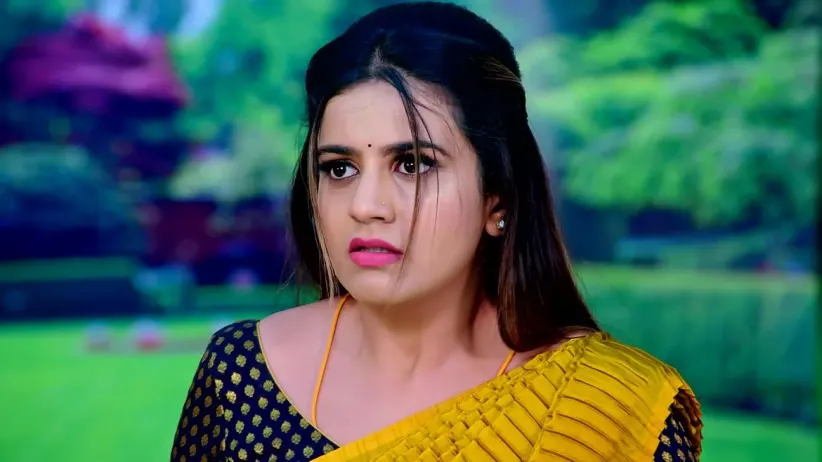 Shivani's Imagination