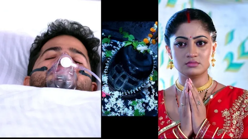 Jharana Finds Mohan's Dead Body