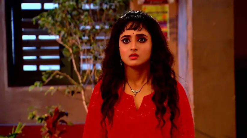 Sangeeta Loves Som