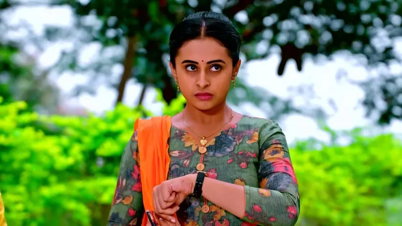 Rajeshwari's Terms for Puttakka