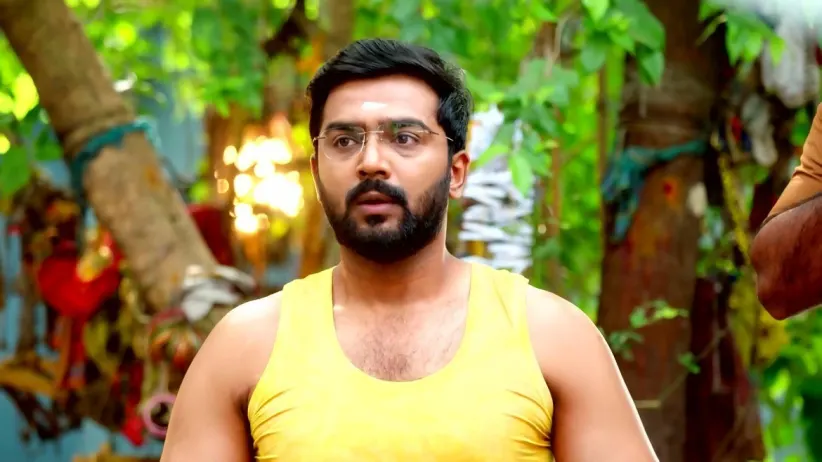 Savitri Schemes against Siddharth