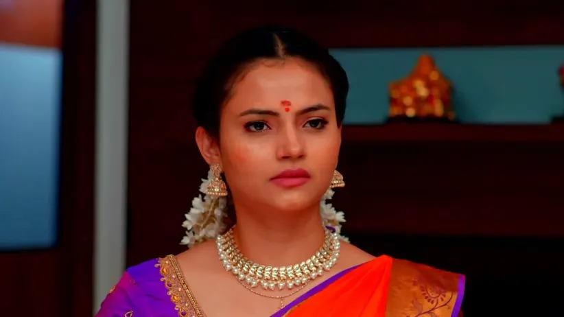 Karthigai Deepam - December 28, 2022 - Episode Spoiler