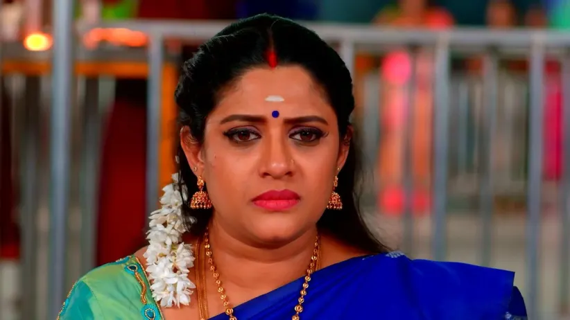 Karthigai Deepam - December 30, 2022 - Episode Spoiler