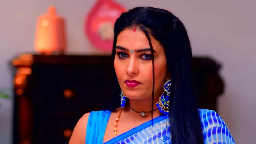 Karthigai Deepam - December 29, 2022 - Episode Spoiler