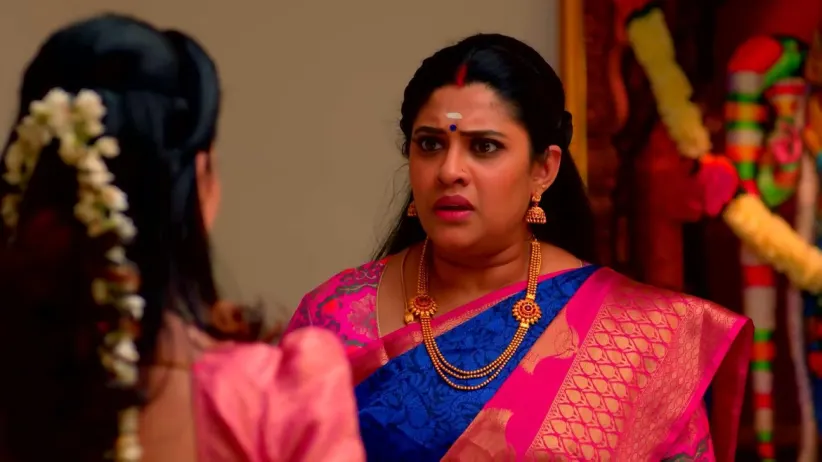 Karthigai Deepam - January 09, 2023 - Episode Spoiler