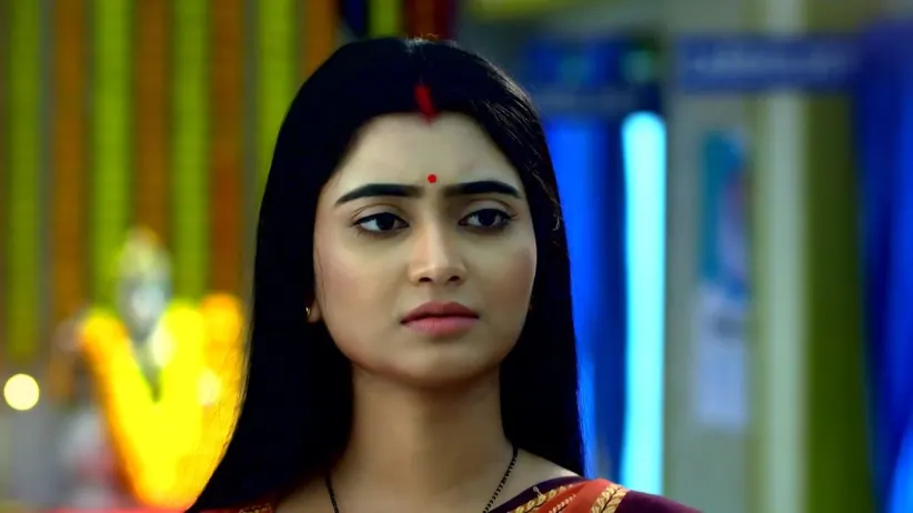 Jagadhatri - 17 January, 2023