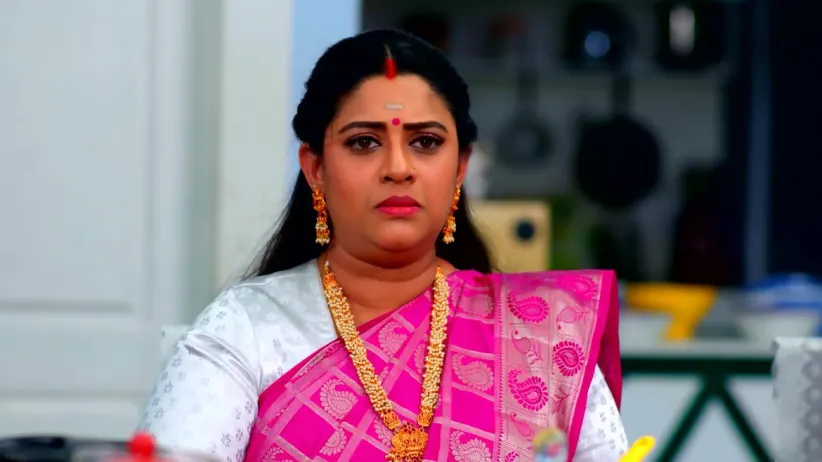 Karthigai Deepam - January 17, 2023 - Episode Spoiler