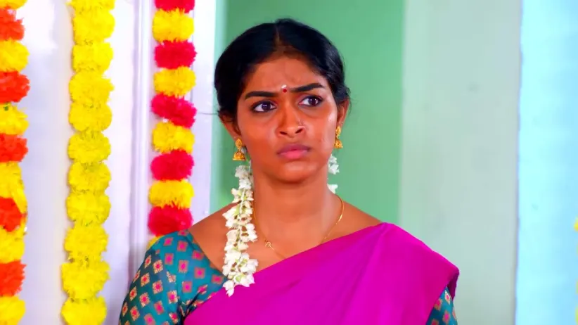 Karthigai Deepam - January 19, 2023 - Episode Spoiler