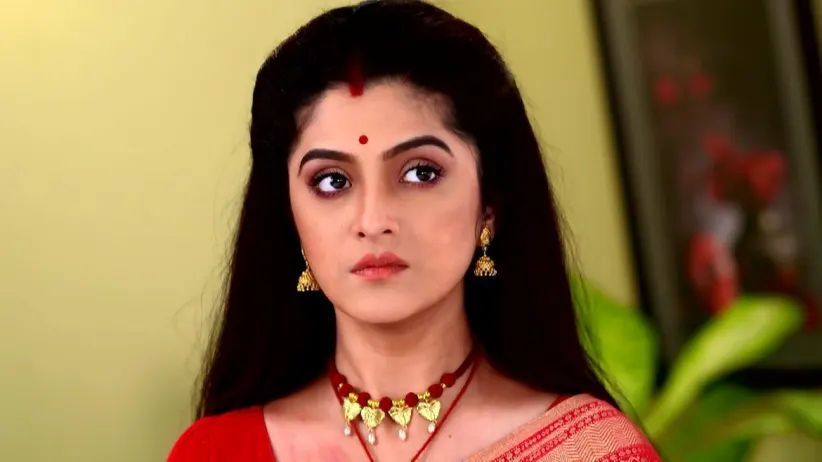 Priyanshu Decides to Divide the House