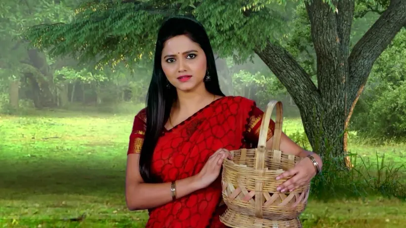 Eagles Attack Shivani