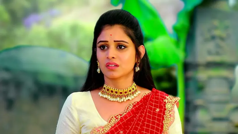 A Thief Steals Bhavani’s Nuptial Chain