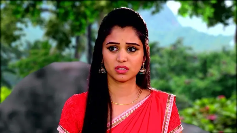 Arjun is Attacked by Kites