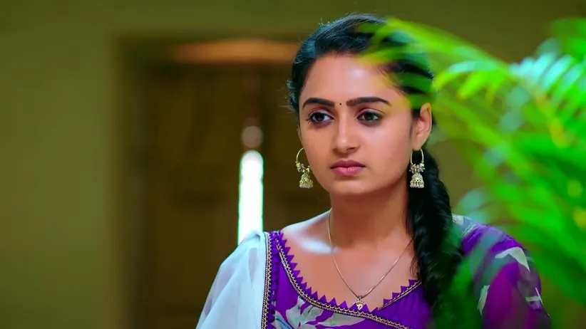 Rajeshwari Vilas Coffee Club - February 20, 2023 - Best Scene