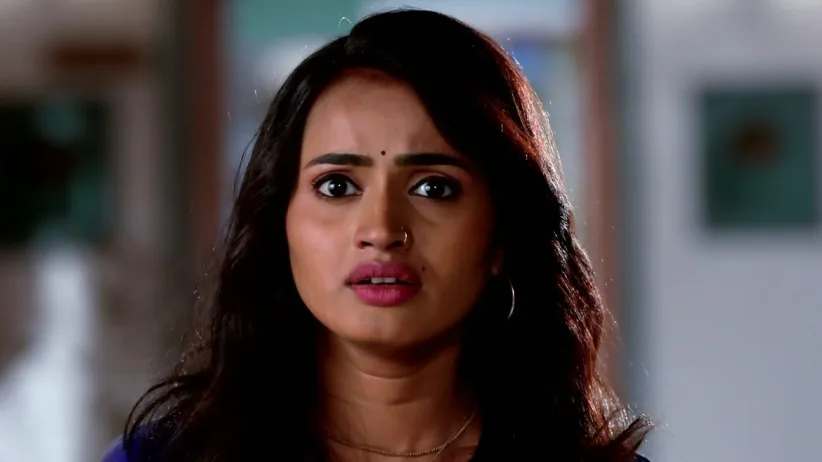 The Investors Set a Deadline for Shailaja