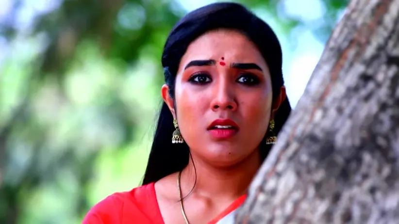 Thenu Proposes to Vinay