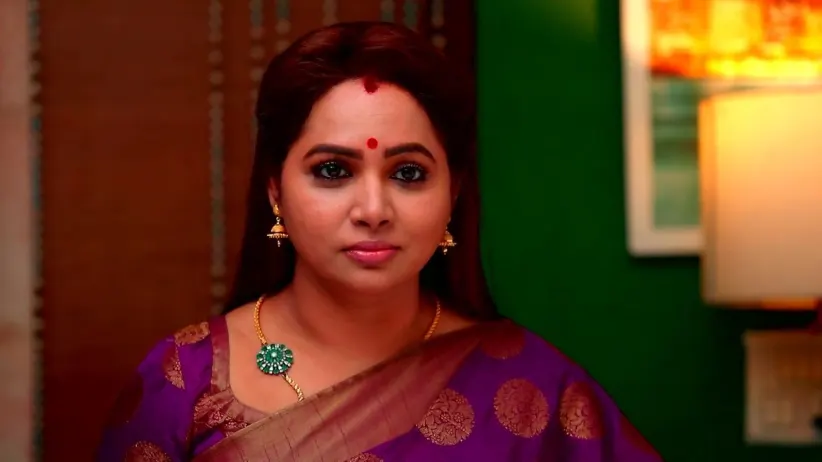 Karthik Detests Vasundharadevi
